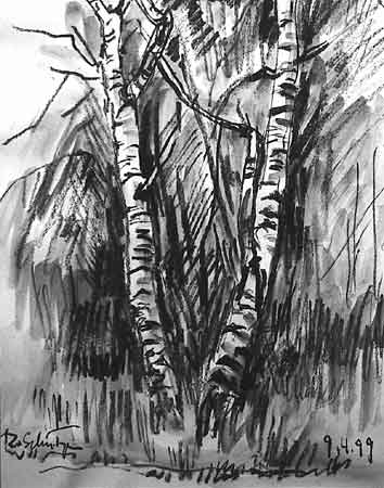 Stacks Image 49